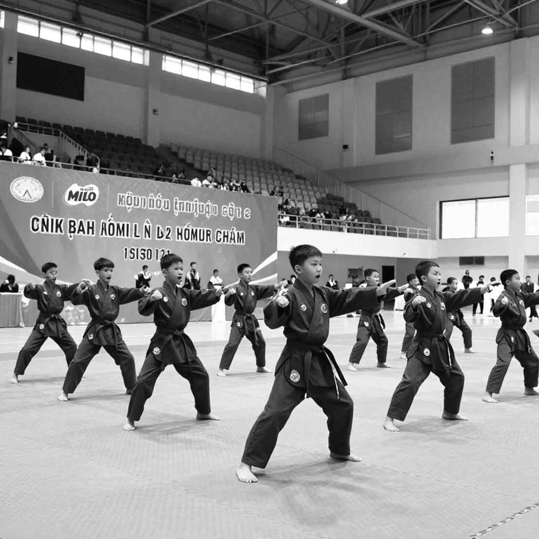 A 5-0 That Was Never a Knockout: The Empty Cells Nobody Counts Inside Vietnam's Karate Gold