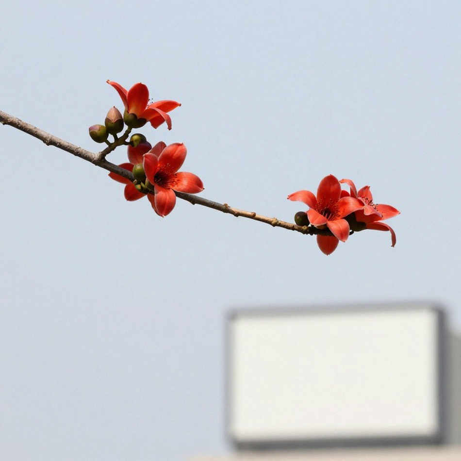 ভোরের আগেই ২:৪৭:৫২: হ্যানয়ের রেকর্ড অঙ্কে বড়, স্তরে ছোট
